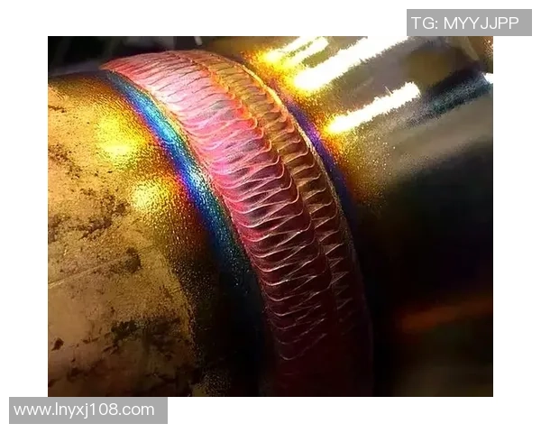 排球新手必看：轻松掌握团队协作技巧的全面指南